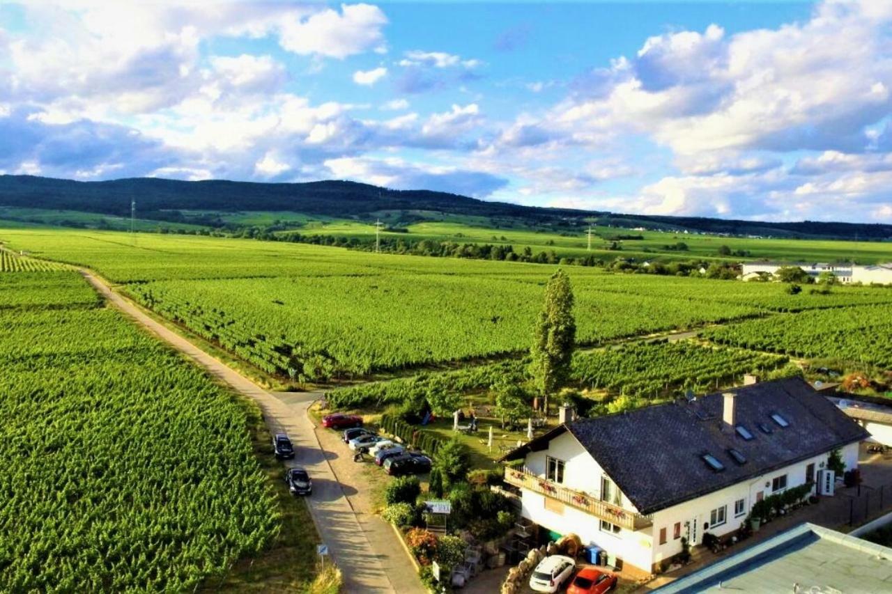 Ferienzimmer Weingut Mack Oestrich-Winkel Buitenkant foto